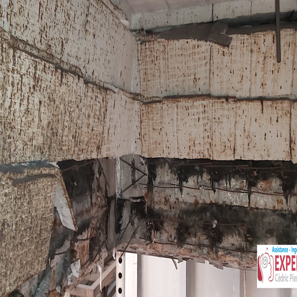 Fumisterie industrielle