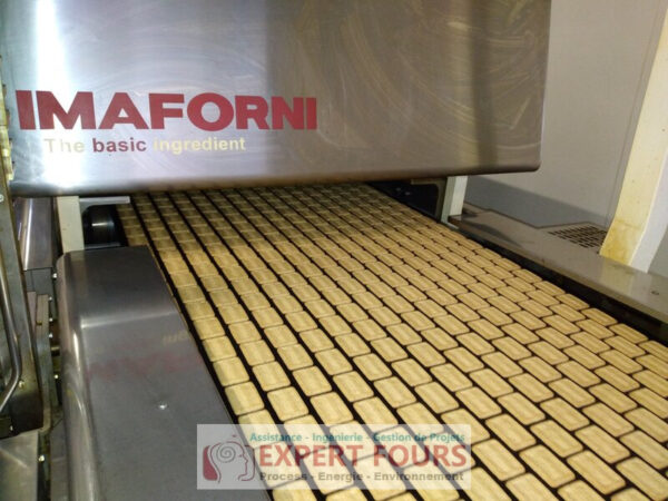 Expert Fours IMAFORNI GEA Décarbonation Efficience énergétique fours industriels