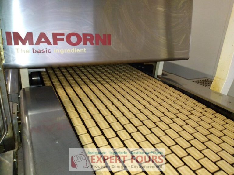 Expert Fours IMAFORNI GEA Décarbonation Efficience énergétique fours industriels