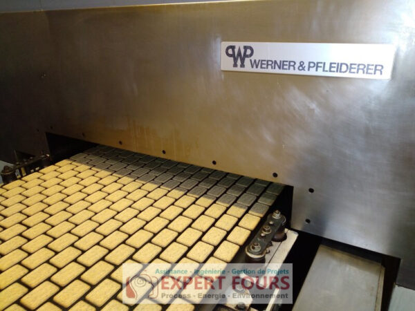 Expert Fours WERNER PFLEIDERERDécarbonation Efficience énergétique fours industriels